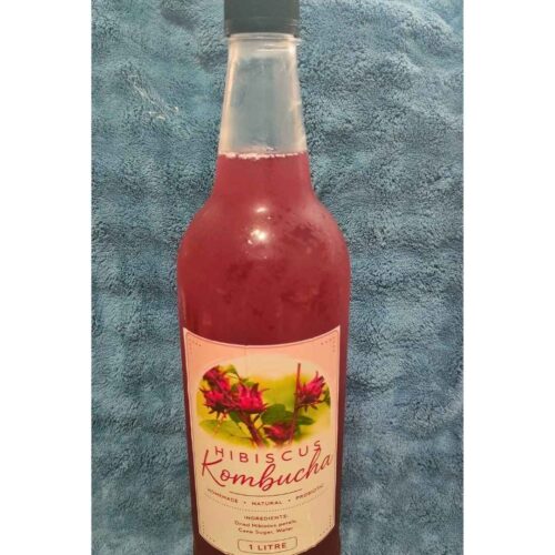 Hibiscus Kombucha