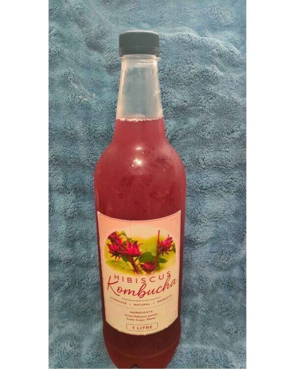 Hibiscus Kombucha